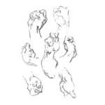 Hand gestures vector graphics